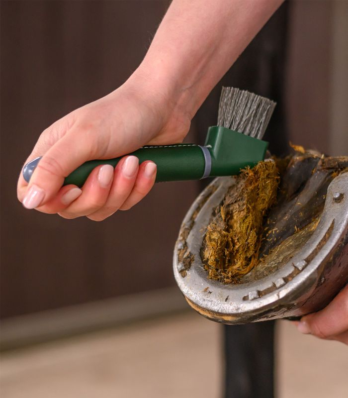 Vyškrabováky na kopytá