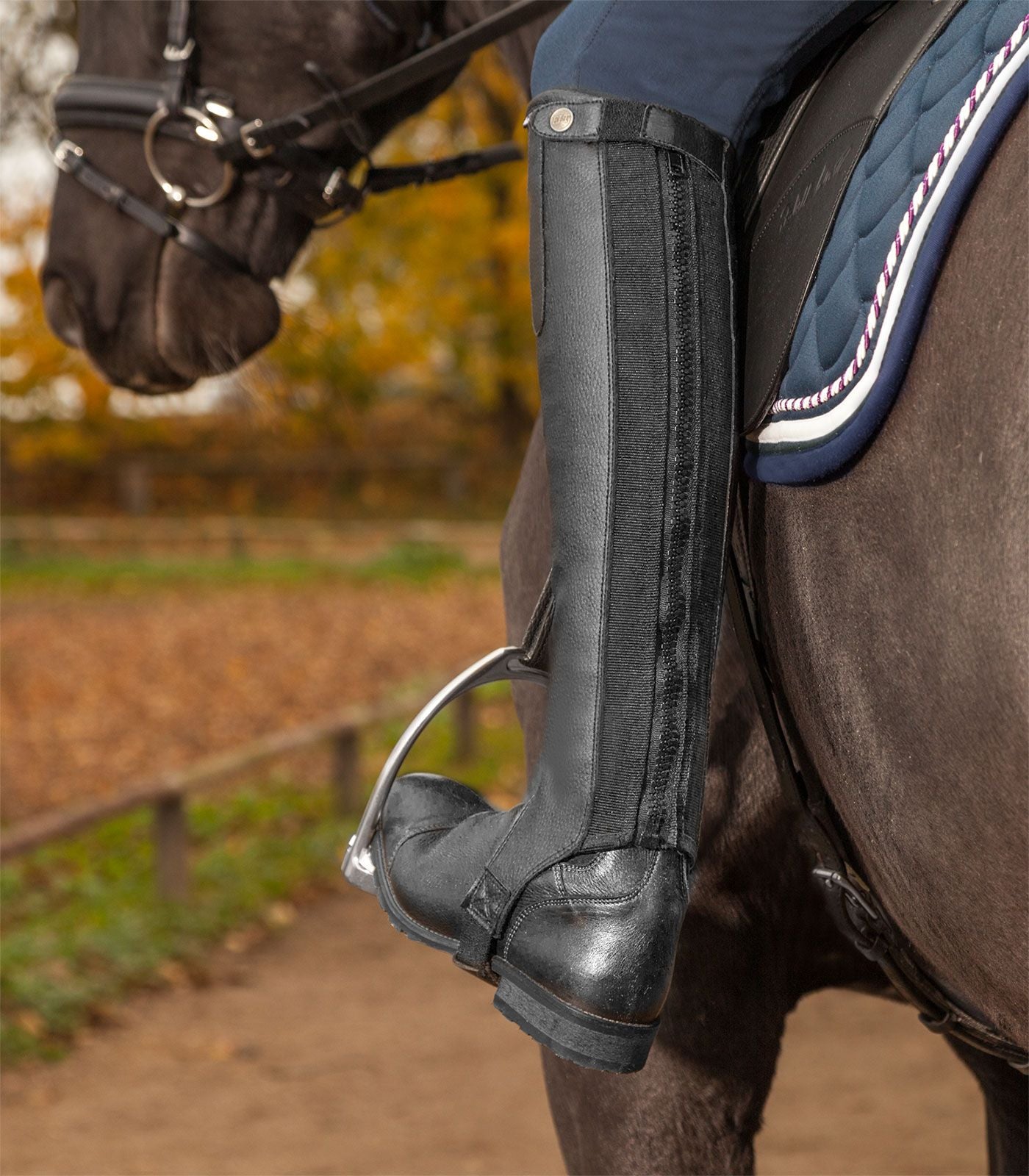 Minichapsy Exclusive