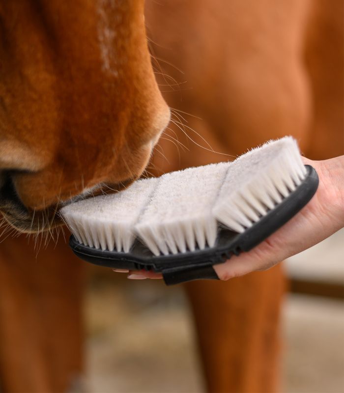 Flexibilná kefa, prírodné štetiny