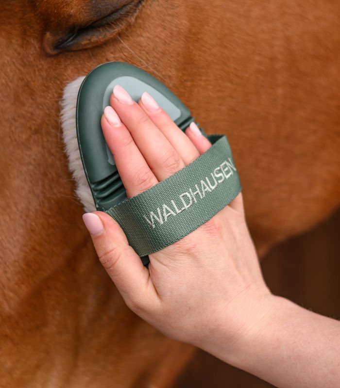 Flexibilná kefa, prírodné štetiny