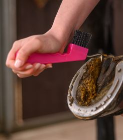 Vyškrabovák na kopytá s magnetom Waldhausen