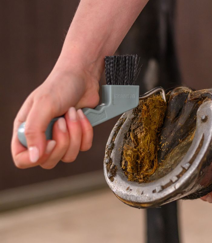 Vyškrabovák na kopytá s magnetom Waldhausen