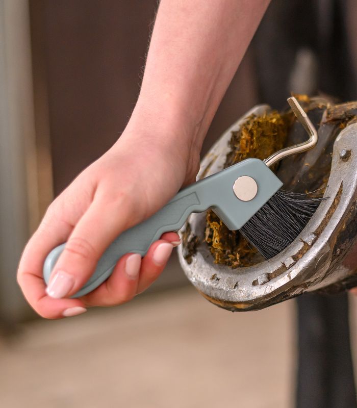 Vyškrabovák na kopytá s magnetom Waldhausen