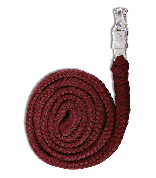 Vodítko s panikovou karabinou 2m